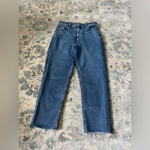American eagle mom jeans